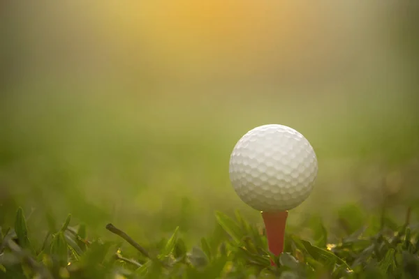 Golf ball on tee in a beautiful golf course with morning sunshin — Stock Photo, Image