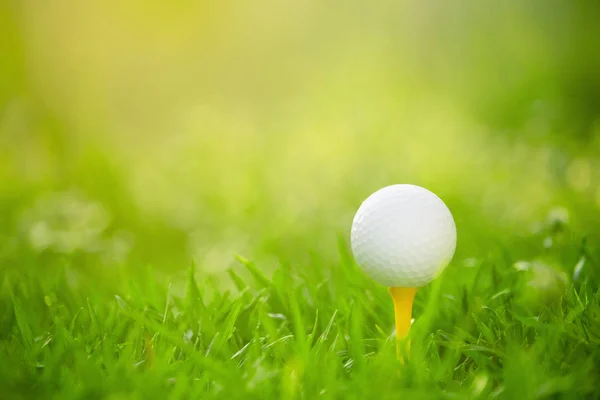 golf ball on tee in a beautiful golf course with morning sunshin