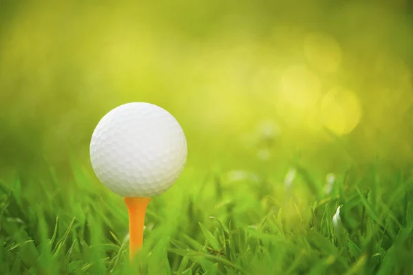 Golf ball on tee in a beautiful golf course with morning sunshin — Stock Photo, Image