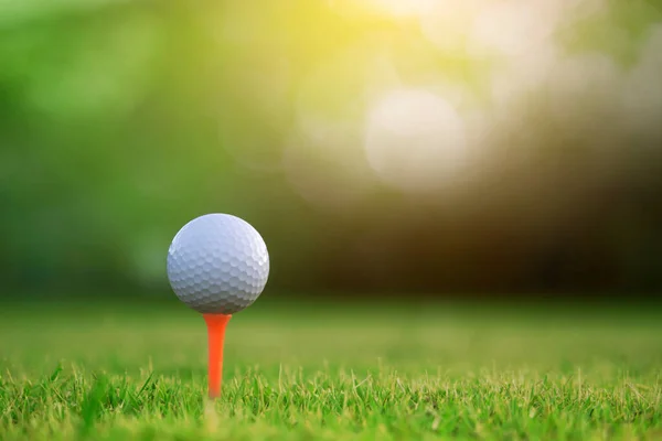 Golf Ball Tee Beautiful Golf Course Morning Sunshine Ready Golf — Stock Photo, Image