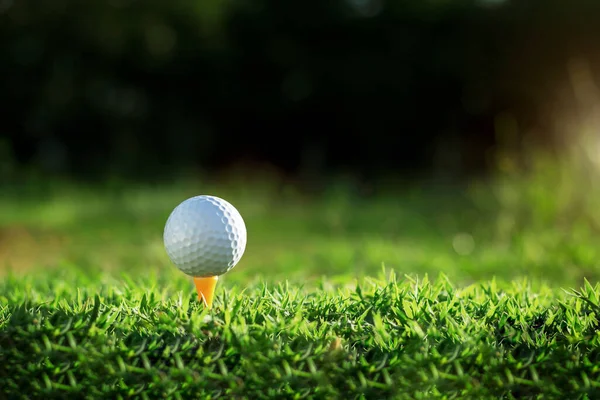 朝の日差しと美しいゴルフコースでティーゴルフボール まず第一にゴルフの準備ができて 健康のための休日の間に世界中の人々が遊ぶスポーツ — ストック写真