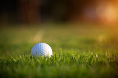 Golf topu güzel bir golf sahasında sabah güneşiyle birlikte. İlk kısa sürede golfe hazır. Dünyanın dört bir yanındaki insanlar tatillerde sağlık için oynuyorlar..
