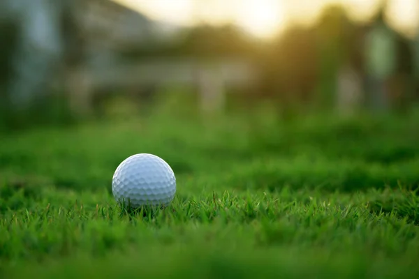 Golfbal Een Groen Gazon Een Prachtige Golfbaan Met Ochtendzon Klaar — Stockfoto