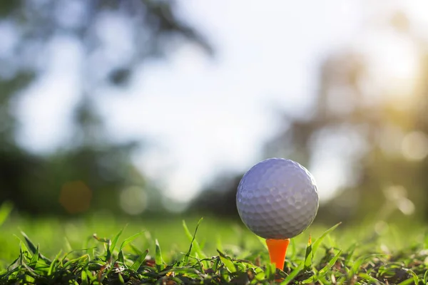 Golf Labda Tee Egy Gyönyörű Golfpálya Reggeli Napsütés Készen Áll — Stock Fotó