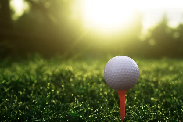 Pelota Golf Tee Hermoso Campo Golf Con Sol Mañana Listo —  Fotos de Stock