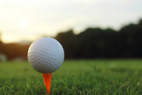 Bola Golfe Tee Belo Campo Golfe Com Sol Manhã Pronto — Fotografia de Stock