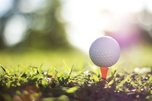 Bola Golfe Tee Belo Campo Golfe Com Sol Manhã Pronto — Fotografia de Stock