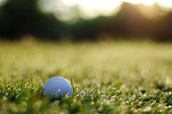 Golf Bollen Grön Gräsmatta Vacker Golfbana Med Morgonsol Redo För — Stockfoto