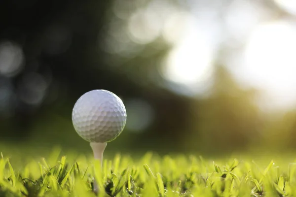 golf ball on tee in a beautiful golf course with morning sunshine.Ready for golf in the first short.Sports that people around the world play during the holidays for health.