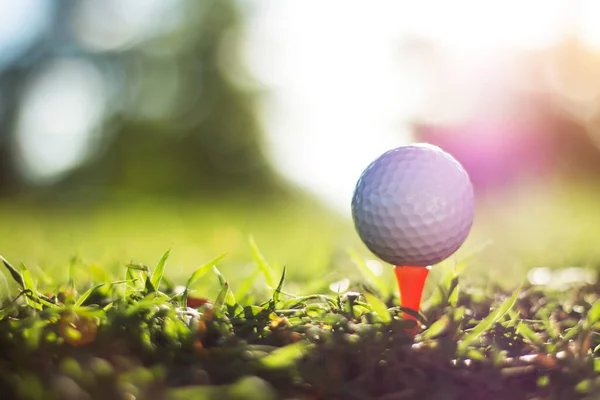 Bola Golfe Tee Belo Campo Golfe Com Sol Manhã Pronto — Fotografia de Stock