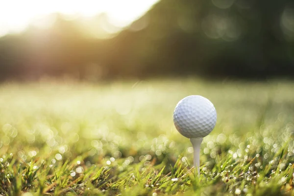 Golf Ball Tee Beautiful Golf Course Morning Sunshine Ready Golf — Stock Photo, Image