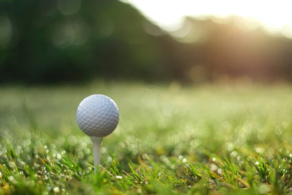 Golfball Beim Abschlag Auf Einem Wunderschönen Golfplatz Mit Morgensonne Golfbereit — Stockfoto