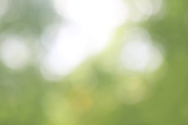 Yeşil doğa bokeh, soyut arka plan grafik tasarım veya duvar kağıtları için. Poster veya tebrik kartı yazdırma için doğal şablon.