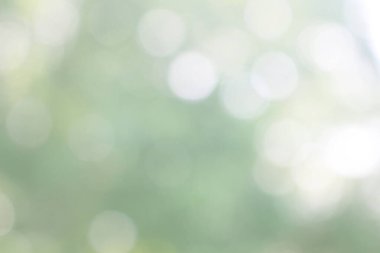 Yeşil doğa bokeh, soyut arka plan grafik tasarım veya duvar kağıtları için. Poster veya tebrik kartı yazdırma için doğal şablon.