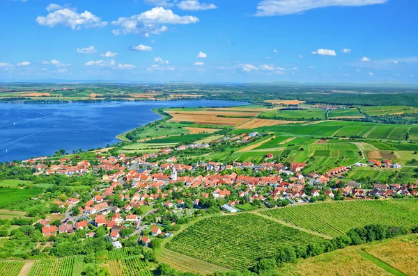 Виноградники і нове млини водосховища на півдні Моравії, Чехія. — стокове фото