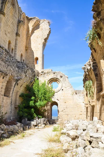 Ruínas das muralhas da bela Abadia de Bellapais, em Bellapais, no norte de Chipre. O mosteiro histórico na parte turca da ilha capturou com o céu azul em uma imagem vertical. Atração popular — Fotografia de Stock