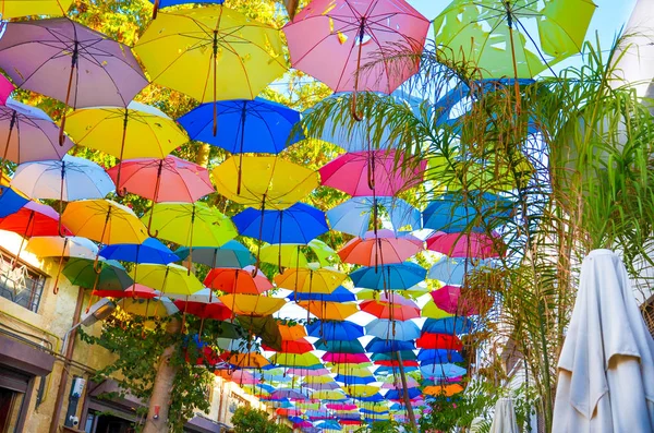 Parapluies colorés décorant le haut de la rue à Nicosie chypriote. Le parapluie sert également d'ombre et de protection contre le soleil. Parmi les parapluies, il y a des branches d'arbres verts — Photo