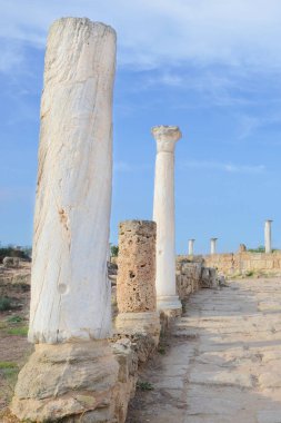 Ünlü Salamis Gymnasium'a ait muhteşem Korint sütunları, yukarıda mavi gökyüzü ile güneşli bir günde alınmıştır. Salamis, Bugünkü Kıbrıs Türk Cumhuriyeti'nde bulunan antik bir Yunan şehir devletidir.