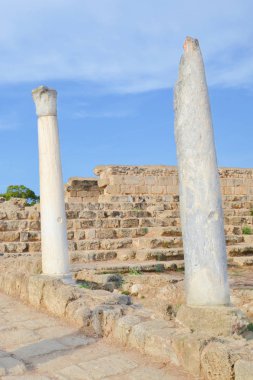 Şaşırtıcı beyaz Korint sütunları arka planda antik kalıntıları ve yukarıdaki mavi gökyüzü ile dikey bir fotoğraf yakalanan. Kıbrıs'Ta Mağusa yakınlarındaki Salamis'te çekilmiş
