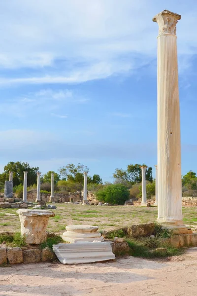 Spectacular ruins of ancient Greek city Salamis taken with blue sky above. The Antique columns were part of Salamis Gymnasium. Salamis is located in todays Turkish Northern Cyprus