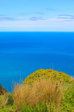 Güzel koyu mavi Tiren deniz koyun üzerindeki tepelerden yeşil çim ve sarı bitkiler ile dikey bir resim üzerinde yakalanan. Cefalu, Sicilya, İtalya'da çekilmiş