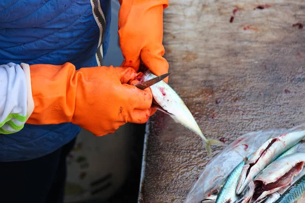 Detalj av händer i orange handskar som är huvudskärning rensning små fiskar. Vid fisk bearbetningen är det nödvändigt att dra modet ur fisken. Fotograferad på fiskmarknaden i Catania, Sicilien, Italien — Stockfoto