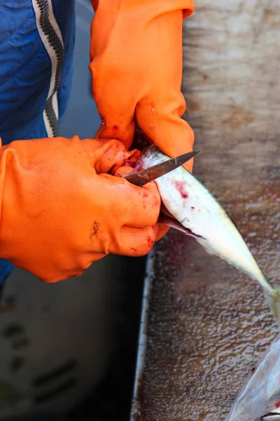 Vertikal fotografering fånga fiskhandlare händer i orange handskar huvudskärning rensning små fiskar med en kniv. Nödvändigt steg av fisk bearbetning. Fotograferad på berömda fiskmarknaden i Catania, Sicilien, Italien — Stockfoto