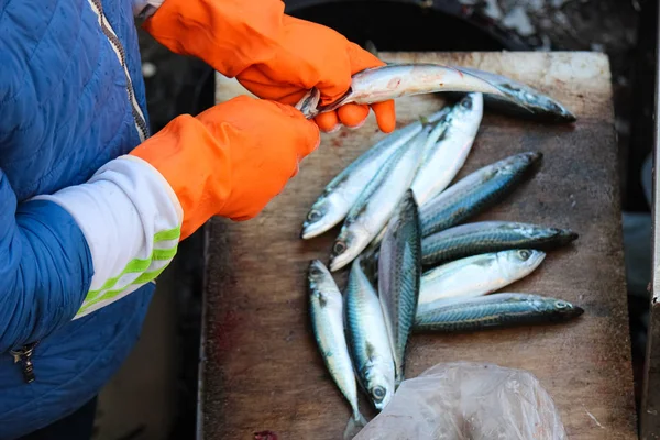 Fishermans händer i orange handskar huvudskärning rensning en liten fisk. Pullint ROE och tarmar ut är nödvändigt steg i fisk bearbetning. Fotograferad på berömda fiskmarknaden i Catania, Sicilien, Italien — Stockfoto