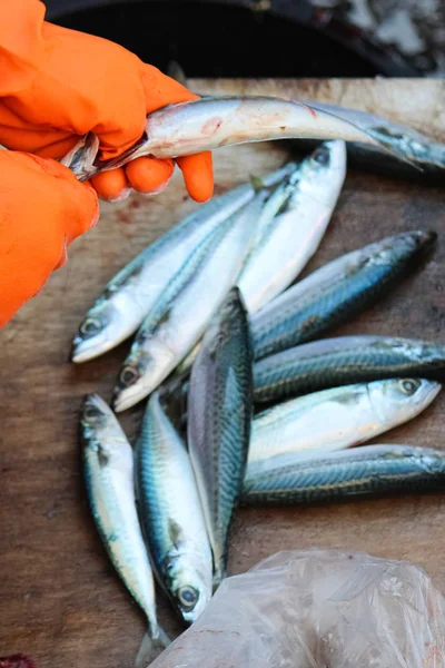 Manos en guantes anaranjados destripando peces pequeños. Otros peces muertos se difuminaron en el fondo sobre una mesa de madera. Sacar las huevas y las tripas es un paso necesario mediante el procesamiento del pescado. Mercado de pescado Catania, Italia —  Fotos de Stock