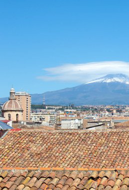 Saint Agatha Katedrali baskın kubbe ile Catania, Sicilya, İtalya güzel şehir manzarası yakalayan Dikey resim. Arka planda Görkemli Etna Yanardağı