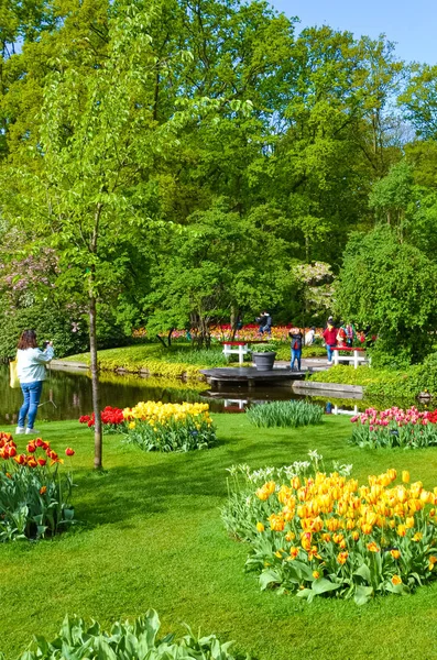 Keukenhof, Lisse, Países Bajos - 28 de abril de 2019: Los visitantes toman fotos de los maravillosos jardines de Keukenhof en primavera. Famoso parque turístico holandés con árboles verdes y tulipanes coloridos. Punto de viaje — Foto de Stock