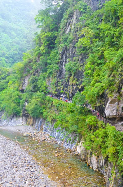 台湾太鲁阁国家公园的垂直照片。以李乌河畔的太鲁阁峡命名。绿色的热带森林被陡峭的岩石包围着。台湾风景。游客在小径上徒步旅行 — 图库照片