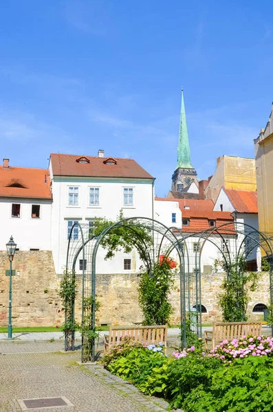 Vackra byggnader i gamla stan i Plzen, Tjeckien med dominerande katedralen St Bartholomew skott från angränsande Park. Pilsen, västra Böhmen, Tjeckien. Solig dag, blå himmel — Stockfoto