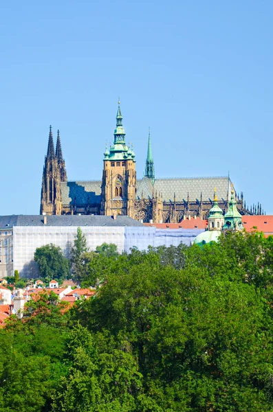 Prachtige Praagse burcht met Sint-Vitus kathedraal, Bohemen, Tsjechië omgeven door historische oude binnenstad en groene bomen. Hradcany, Praga, Tsjechië. Europese steden — Stockfoto