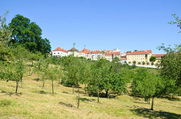 Zöld kertek a Petrin dombon Prága óvárosában, a Cseh Köztársaságban. Történelmi házak a dombon a háttérben. Zöld fák. Nap tiszta. Kedvelt megtekintpont és szabad idő hely — Stock Fotó