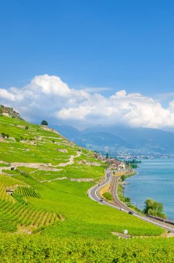 İsviçre Cenevre Gölü, Fransız Lac Leman tarafından yamaçlarında güzel teraslı üzüm bağları. Şaşırtıcı İsviçre'de popüler turistik yer. Unesco Mirası. Çarpıcı doğa, manzaralar. Avrupa, seyahat
