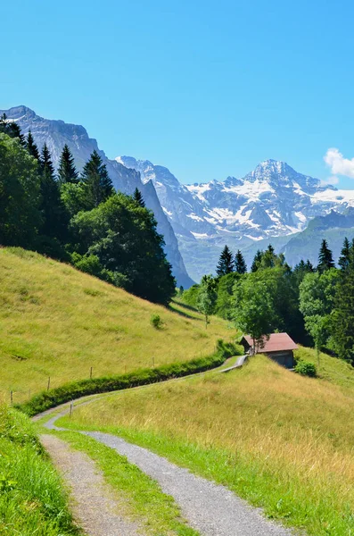 Sendero estrecho en las colinas cerca de Lauterbrunnen en los Alpes suizos que conduce a una pequeña cabaña de montaña de madera. Fotografiado en un soleado día de verano. Paisaje verde montañoso. Montañas con nieve en la parte superior de fondo — Foto de Stock