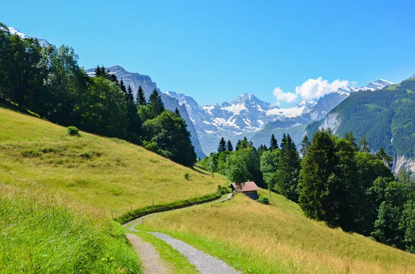 Sendero alpino en las colinas cerca de Lauterbrunnen en los Alpes suizos. El camino conduce a un pequeño chalet de montaña. Fotografiado en temporada de verano. Un paisaje verde. Montañas en el fondo — Foto de Stock