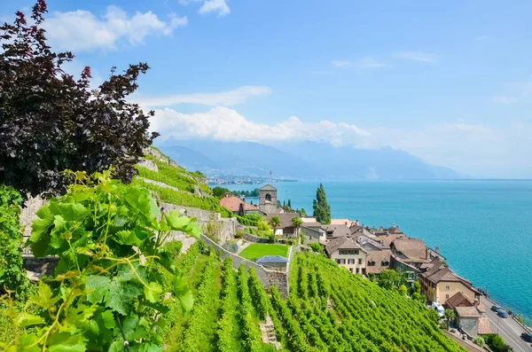 Zelené terasovité vinice na kopcích po Ženevském jezeře, v Lavaux vinařské oblasti, ve Švýcarsku. Dědictví UNESCO. Švýcarská krajina v létě. V pozadí je vesnice Saint Saphorin. Turistické atrakce — Stock fotografie