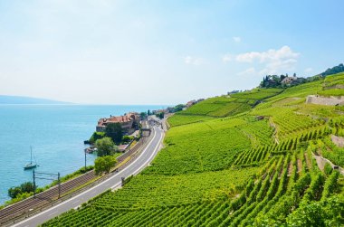 Cenevre Gölü, İsviçre'nin yamaçlarında güzel teraslı üzüm bağları. Ünlü Lavaux şarap bölgesi, Unesco Mirası. Rivaz arka planda. İnanılmaz kırsal manzaralar. Seyahat noktaları