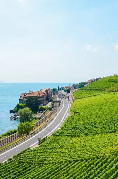 Fotografia vertical de vinhas verdes na encosta pelo belo Lago de Genebra, Suíça. Village Rivaz em segundo plano. Famosa região vinícola de Lavaux. Verão na Suíça. Lindas paisagens. Produção de vinho — Fotografia de Stock