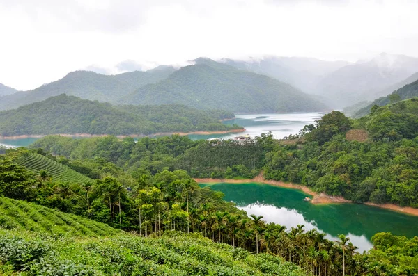 Tayvan Pinglin çay Plantation ile Thousand Island Lake tarafından güzel manzara. Yeşil tropikal ormanla çevrilidir. Turkuaz su. Huysuz hava. İnanılmaz Çin, Asya