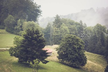 Vaud bölgesinde Moody sonbahar manzara, Isviçre. Puslu manzaralar. Sis, sisli. Vintage Retro, hipster tarzı. Sahada yalnız bir ev. İsviçre Alpleri