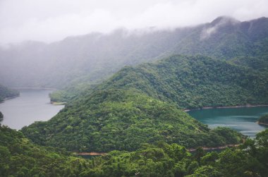Tayvan Thousand Island Lake tarafından Misty manzara, Asya. Tropikal orman, yağmur ormanları ile çevrili sis Gölü. Huysuz hava. Vintage Retro, hipster tarzı