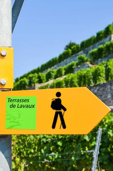 Foto verticale di cartello turistico giallo nel detto francese Terrazze di Lavaux dando indicazioni nella famosa regione vinicola di Lavaux, Vaud, Svizzera. Vigneti a terrazze sfocate sullo sfondo. Percorso escursionistico — Foto Stock