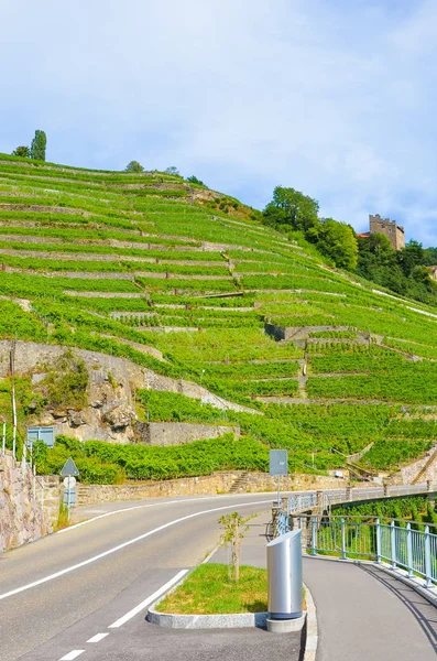 Estrada ao longo de vinhas em terraços na famosa região vinícola de Lavaux, Suíça. Fotografado na pitoresca aldeia Riex na temporada de verão. Vinha verde em declive. Vinho suíço, vinificação. Estrada vazia — Fotografia de Stock