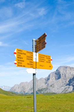 İsviçre Alpleri'nde yürüyüş için mesafeler ve yol tarifi veren First, İsviçre'de sarı bilgi işareti. Grindelwald tarafından Bachalpsee giden popüler yolları. Arka planda Yaz Alp manzara