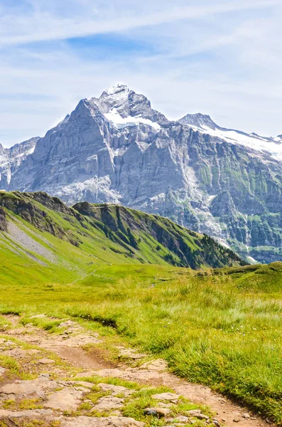 Fotografía vertical de hermosos Alpes suizos en verano. Montañas famosas Jungfrau, Eiger y Monch en el fondo. Sendero, sendero. El paisaje alpino. Al aire libre. Suiza paisajes — Foto de Stock