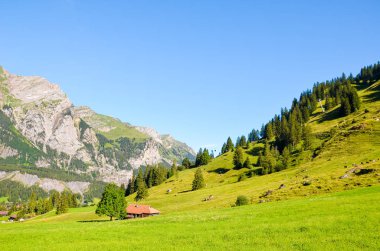 İsviçre'de Kandersteg yakınlarındaki güzel Alp manzara yaz sezonunda yakalanan. Yeşil çayırlar, kayalık tepeler. İsviçre Alpleri, kayalar ve dağlar. Oeschinensee Gölü'ne giden patika