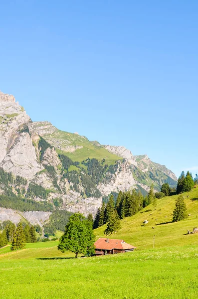 Groene Alpenlandschap in de buurt van Kandersteg in Zwitserland gevangen in het zomerseizoen. Weilanden, rotsachtige heuvels. Zwitserse Alpen, rotsen en bergen. Een pad dat leidt naar de Oeschinensee, verticale foto — Stockfoto